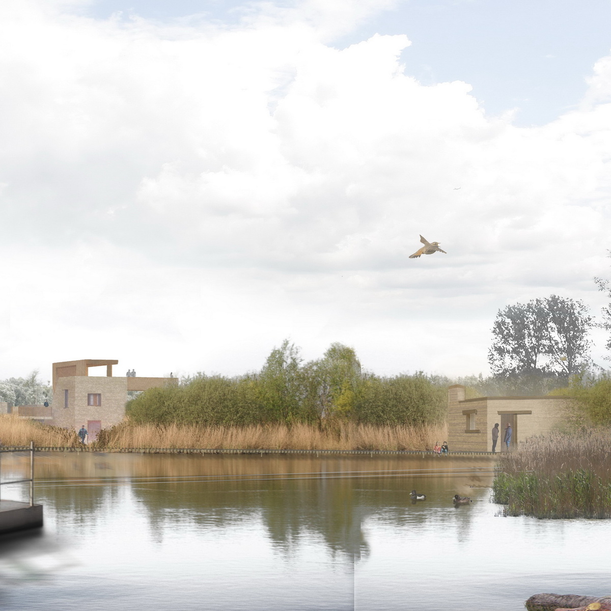 1natuur_activiteiten_centrum_oostvaardersplassen_05.jpg