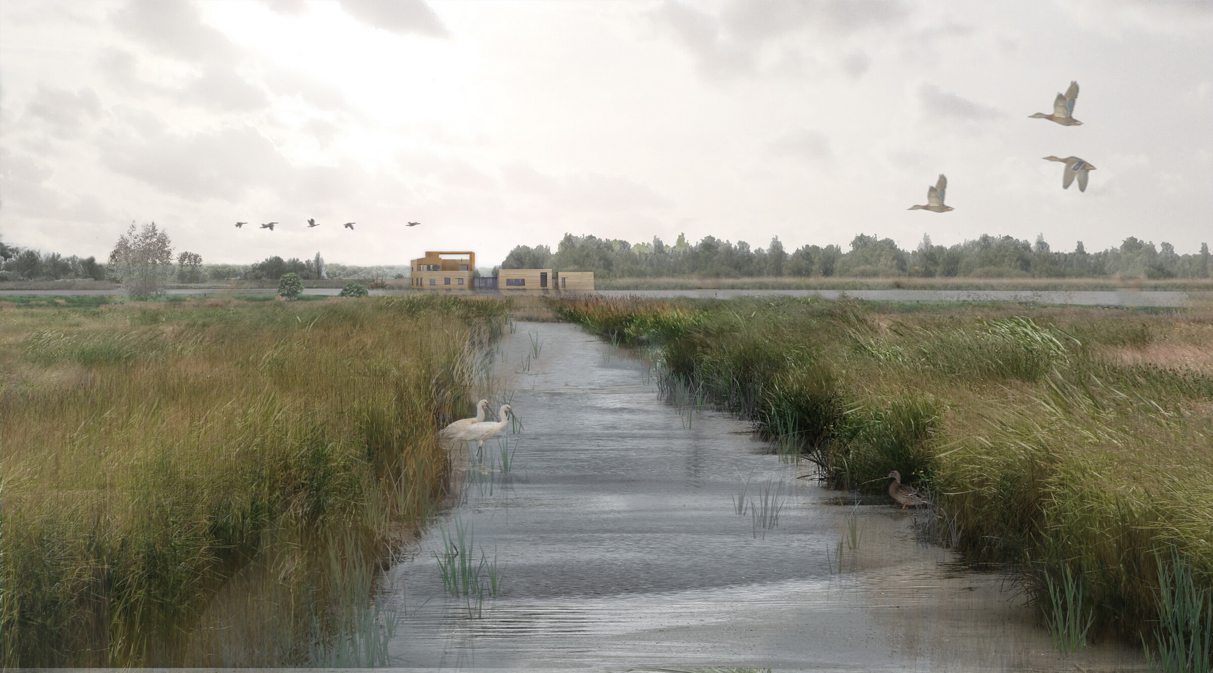 natuur_activiteiten_centrum_oostvaardersplassen_04.jpg